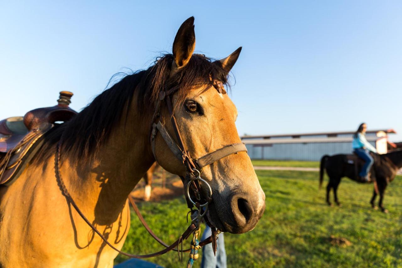 Wildcatter Ranch And Resort Graham Zewnętrze zdjęcie